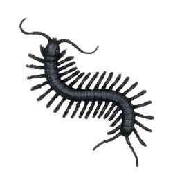 Dekorácie s motívom hmyzu, 6 kusov